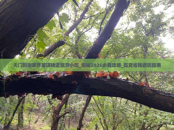 天门到张家界玻璃栈道旅游小吃