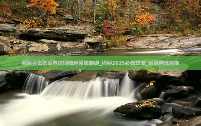 鄢陵县去张家界玻璃栈道团体旅游