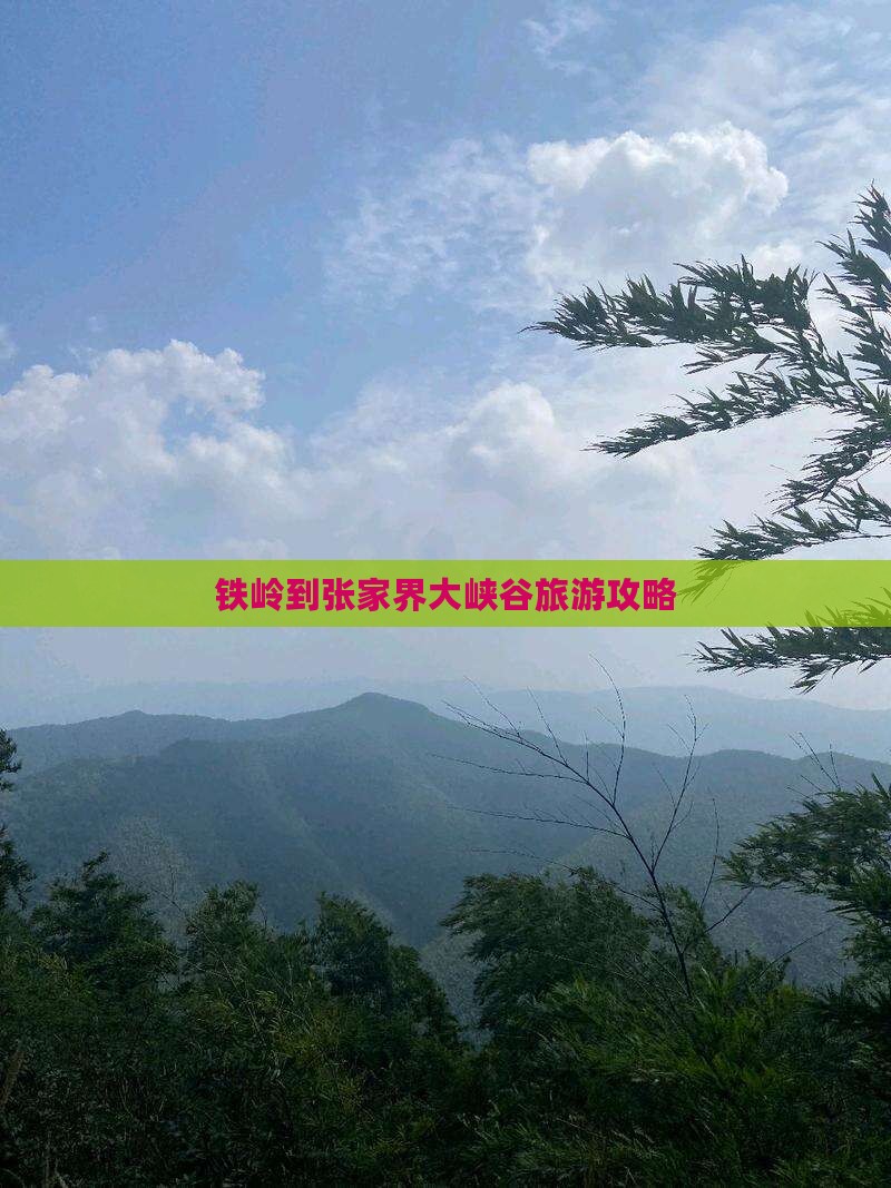 铁岭到张家界大峡谷大型旅游团