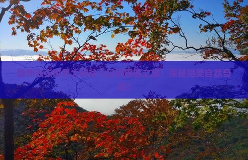 赣州去张家界大峡谷七日游