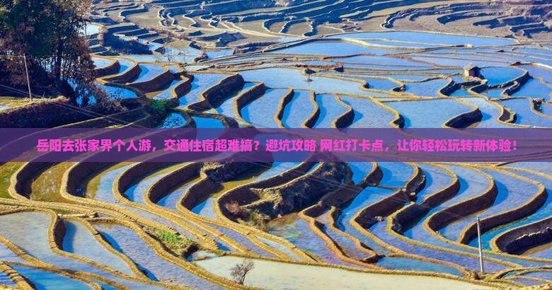 岳阳去张家界个人游