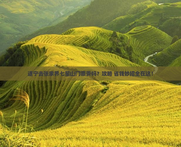 遂宁去张家界七星山门票