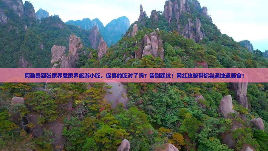 阿勒泰到张家界袁家界旅游小吃