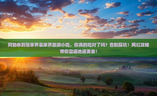 阿勒泰到张家界袁家界旅游小吃