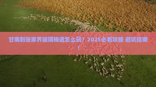 甘南到张家界玻璃栈道旅游
