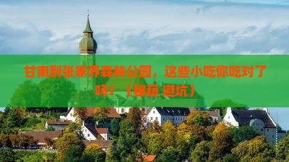 甘南到张家界森林公园旅游小吃