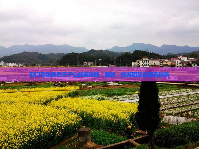 荆门到张家界天子山旅游 荆门到张家界天子山旅游