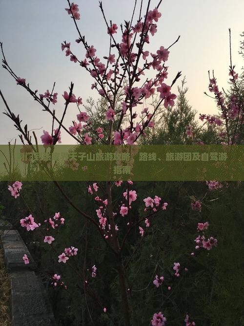 荆门到张家界天子山旅游 荆门到张家界天子山旅游