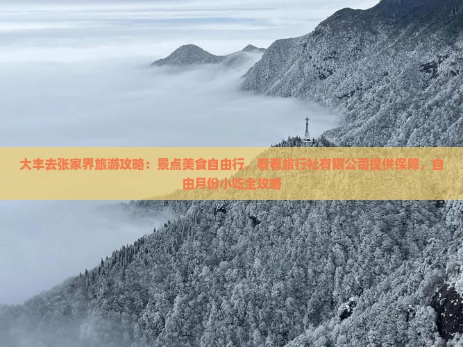 大丰去张家界旅游小吃