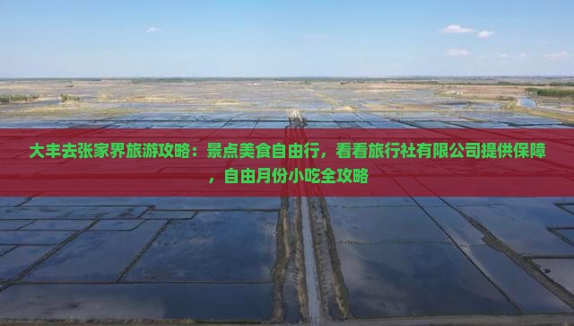 大丰去张家界旅游小吃