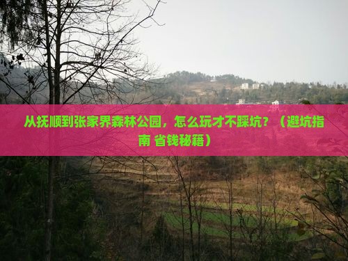 抚顺到张家界森林公园个人游