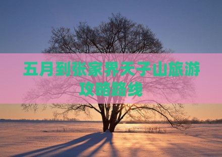 五月到张家界天子山攻略