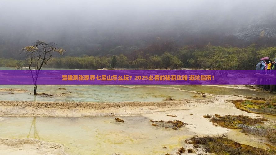 楚雄到张家界七星山哪里玩