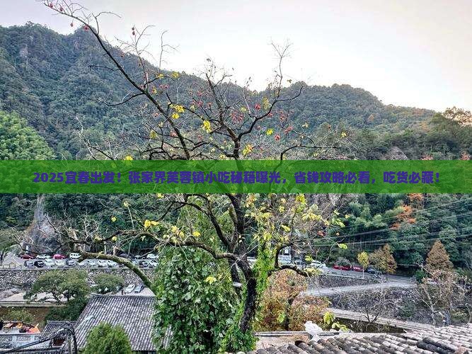 宜春到张家界芙蓉镇旅游小吃