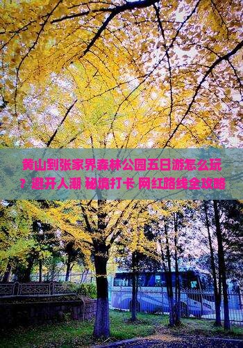 黄山到张家界森林公园五日游