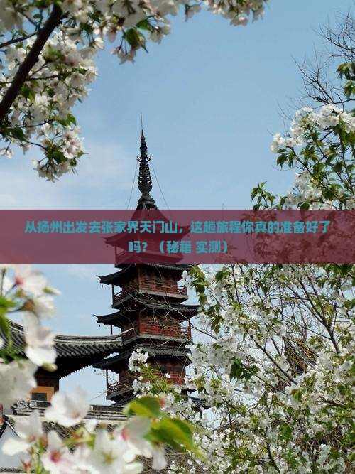 扬州去张家界天门山攻略