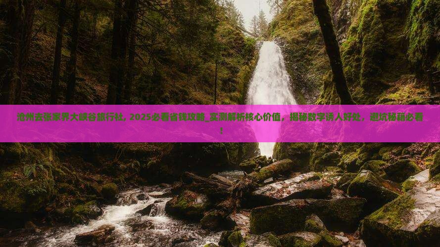 沧州去张家界大峡谷旅行社