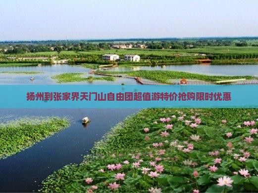 扬州到张家界天门山自由团