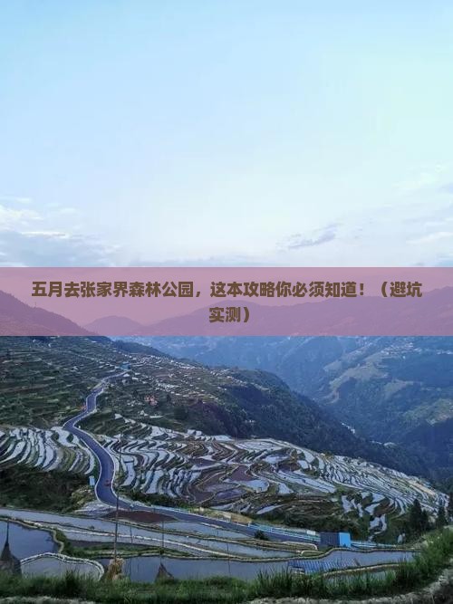 五月到张家界森林公园旅行社