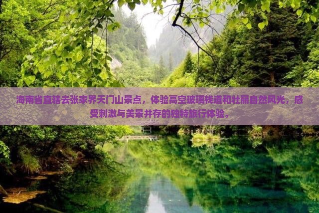海南省直辖去张家界天门山景点