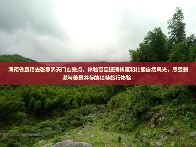 海南省直辖去张家界天门山景点