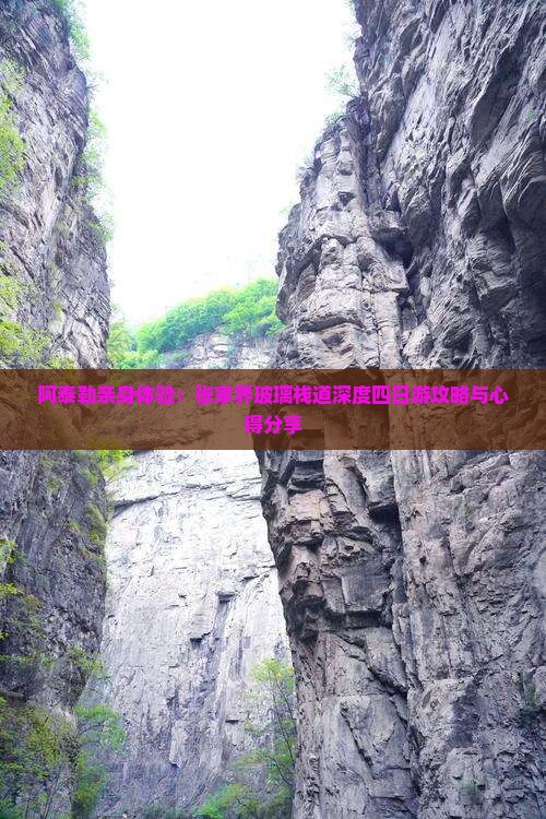 阿泰勒亲身体验：张家界玻璃栈道深度四日游攻略与心得分享