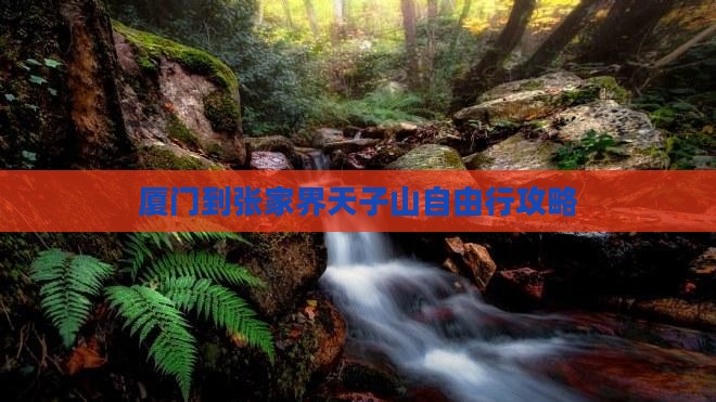 厦门到张家界天子山自由行攻略