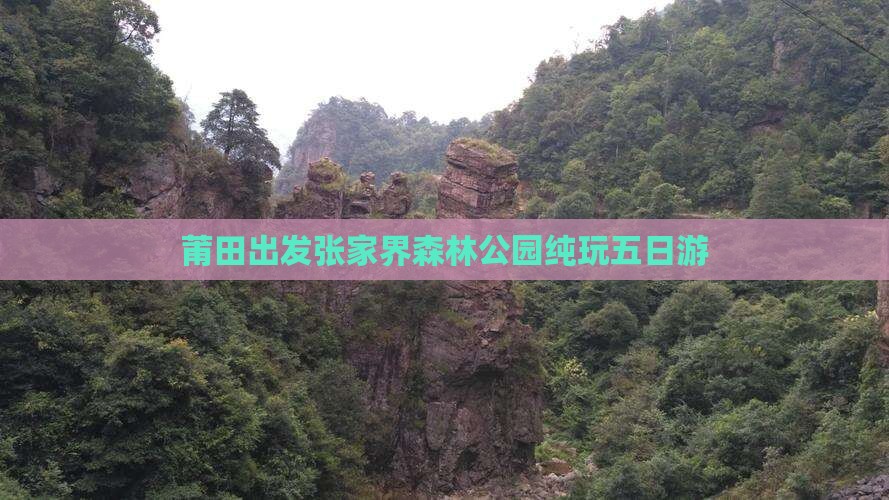 莆田出发张家界森林公园纯玩五日游