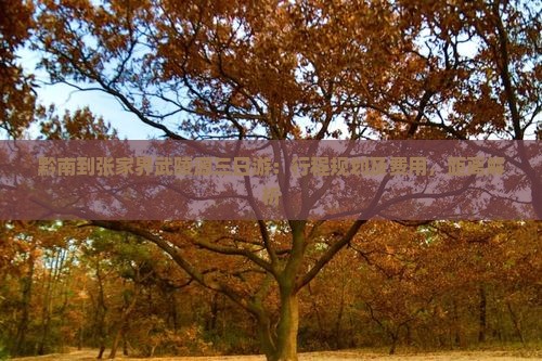 黔南到张家界武陵源三日游：行程规划及费用，距离解析