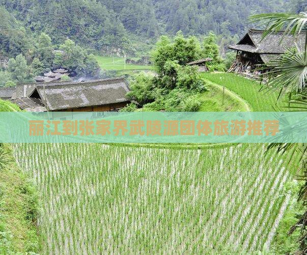 丽江到张家界武陵源团体旅游推荐