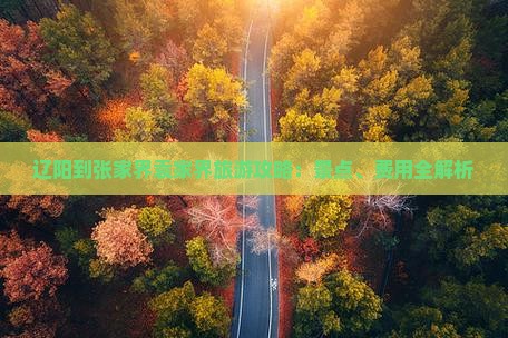 辽阳到张家界袁家界旅游攻略：景点、费用全解析