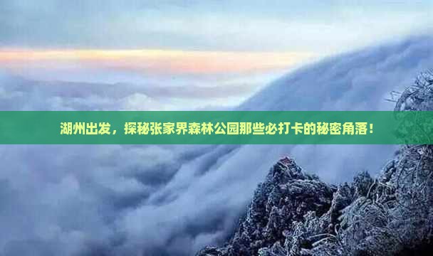 湖州去张家界森林公园必去地