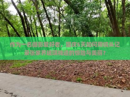 国庆节去张家界玻璃栈道五日游