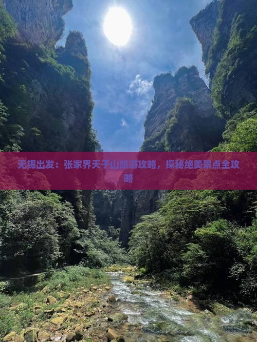 无锡去张家界天子山哪里玩