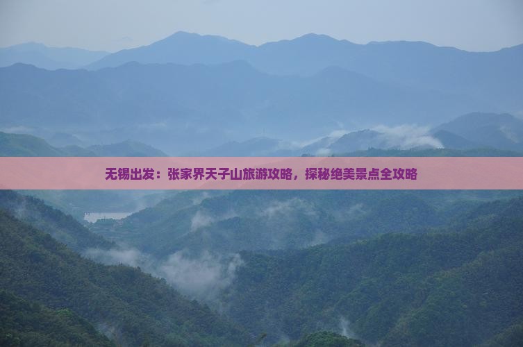 无锡去张家界天子山哪里玩