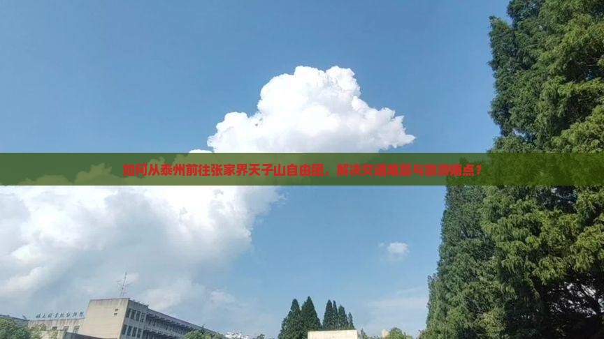 泰州到张家界天子山自由团