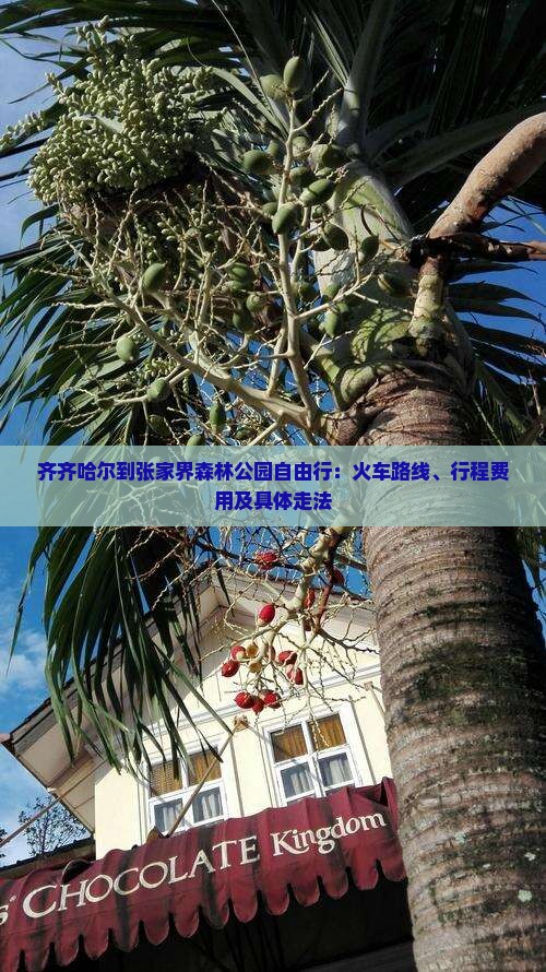齐齐哈尔到张家界森林公园自由行