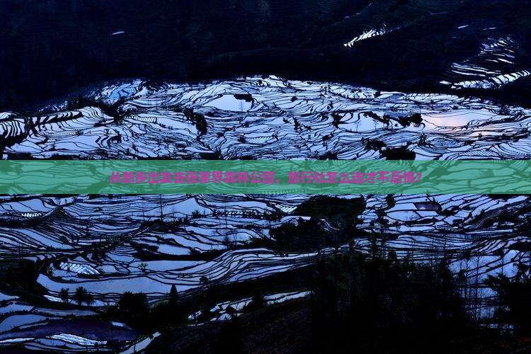新乡去张家界森林公园旅行社