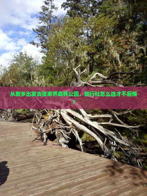 新乡去张家界森林公园旅行社