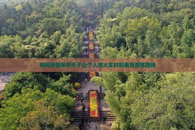 铁岭到张家界天子山个人游