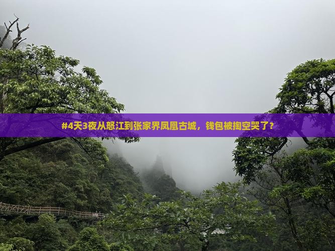 怒江去张家界凤凰古城四日游