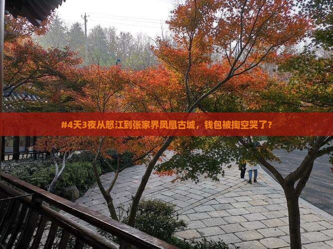 怒江去张家界凤凰古城四日游