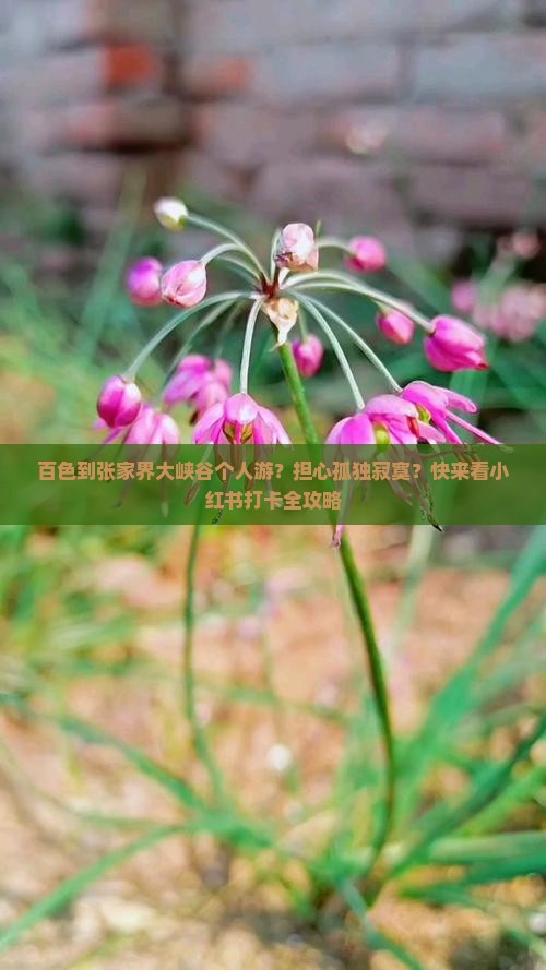 百色到张家界大峡谷个人游