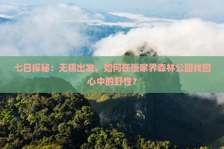 无锡去张家界森林公园七日游