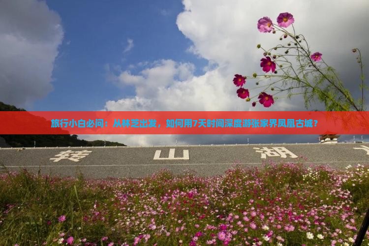 林芝到张家界凤凰古城哪里玩