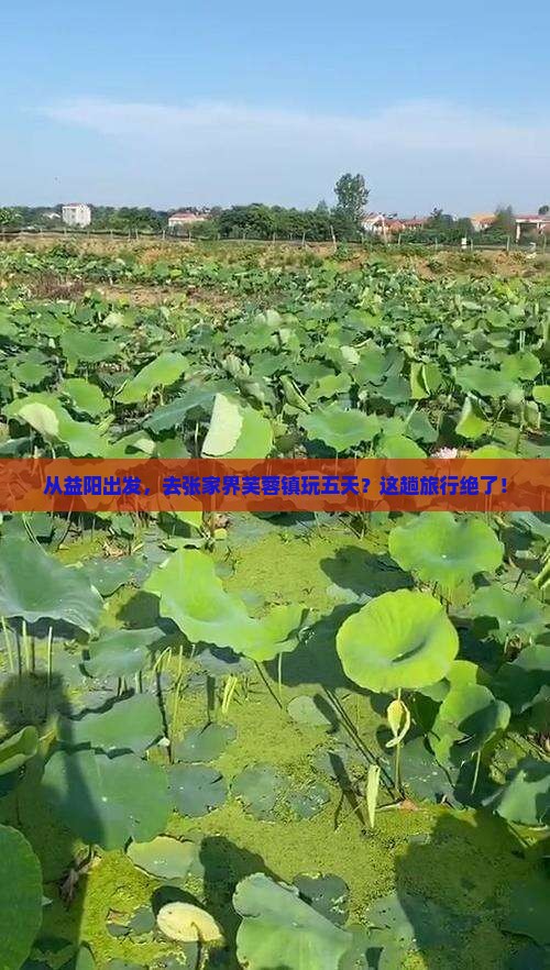 益阳去张家界芙蓉镇五日游