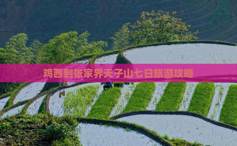 鸡西到张家界天子山七日游