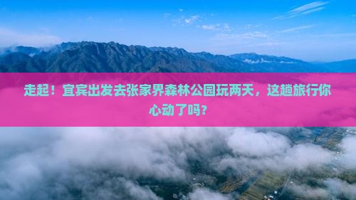 宜宾去张家界森林公园二日游 宜宾去张家界森林公园二日游