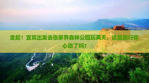 宜宾去张家界森林公园二日游 宜宾去张家界森林公园二日游