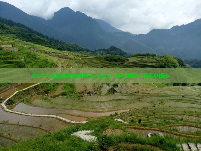 信阳到张家界天门山个人游